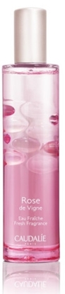 CAUDALIE ROSE DE VIGNE EAU FRAICHE FRAGRANCE 50ML
